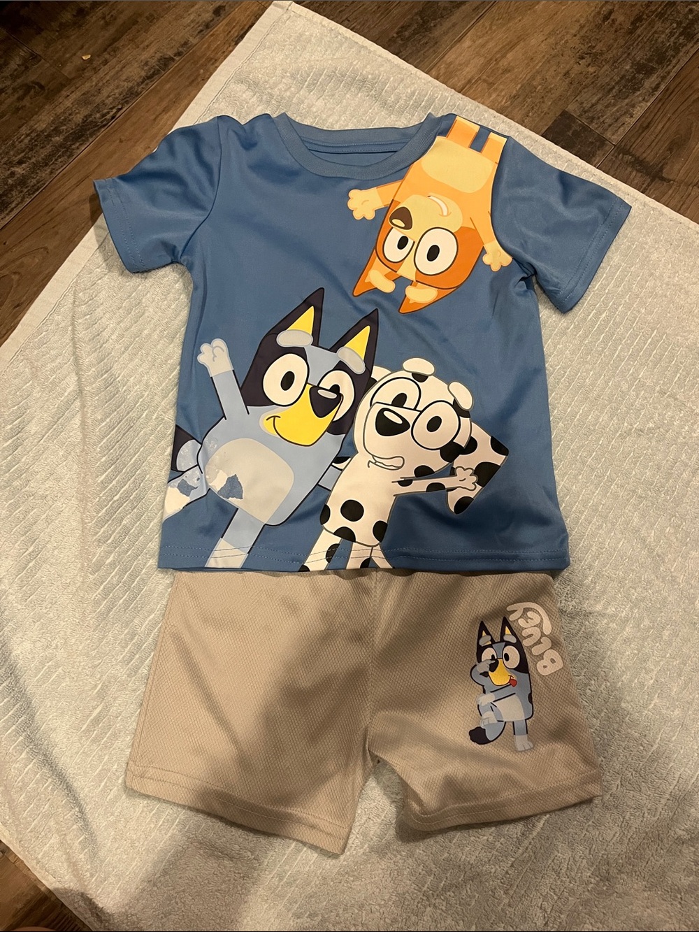 Bluey Shirt and Shorts